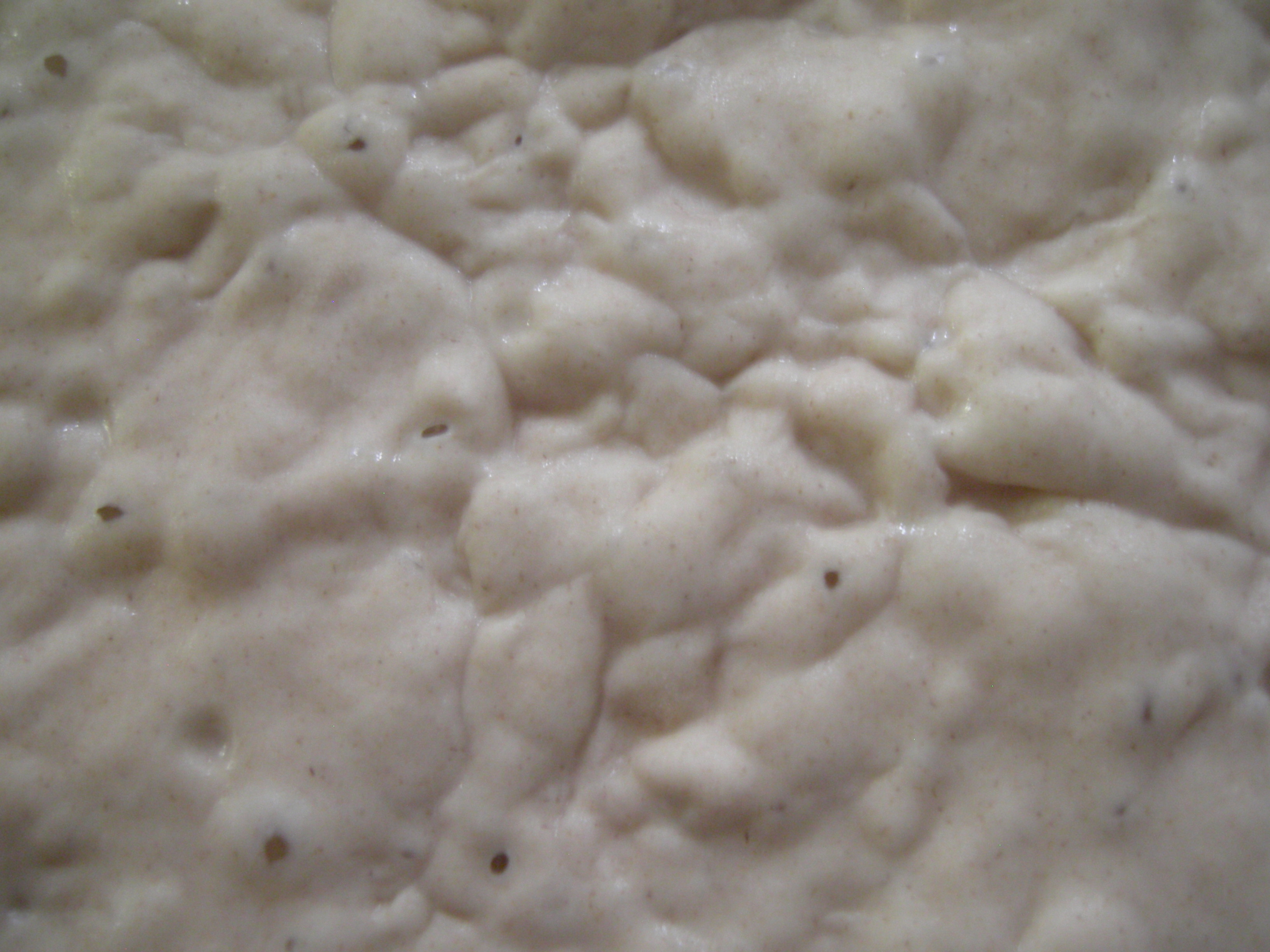 Surface of sourdough culture showing wrinkles and craters
