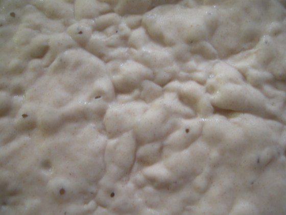 Surface of sourdough culture showing wrinkles and craters