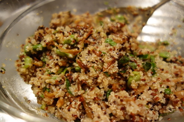 Quinoa and Fennel Salad